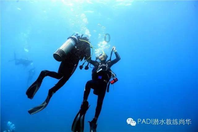 王允成为东汉主政者后，他为什么会拒绝西凉军归降？游戏画面